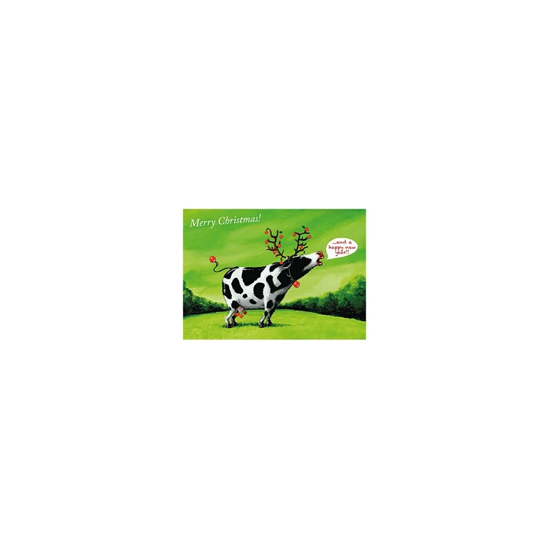 ibspot-4171000