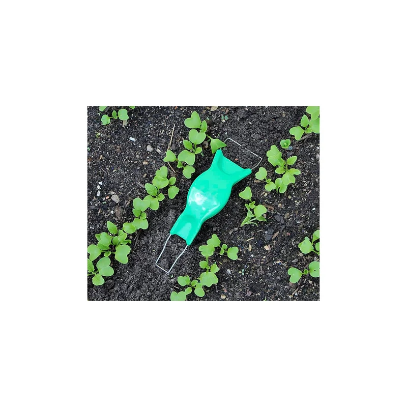 ibspot-4200981