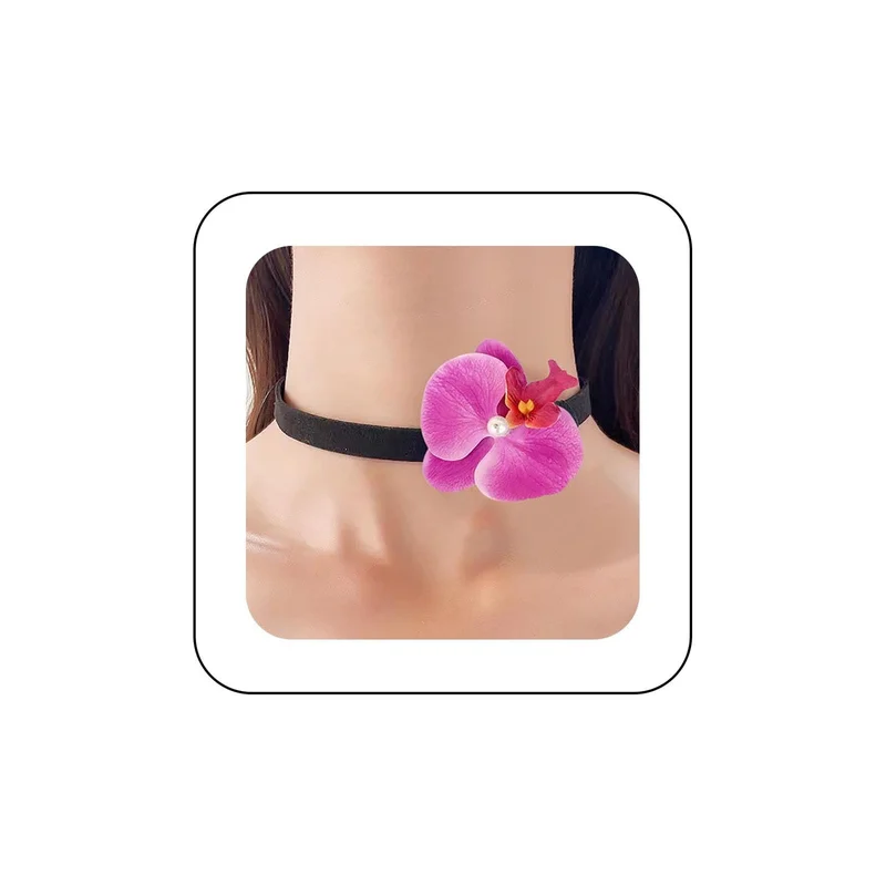 ibspot-44470536