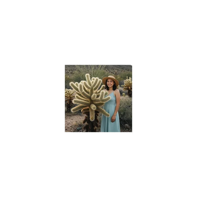 ibspot-54417705