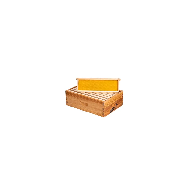 ibspot-54437736