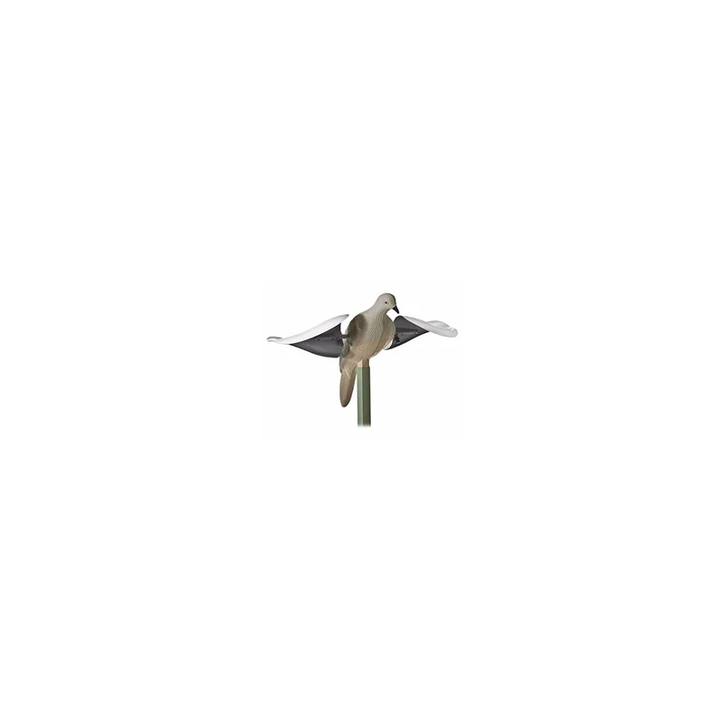 ibspot6108900