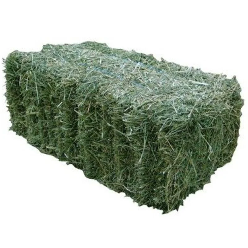 nissleyfeed4120103