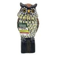 pettigrew-online4230336