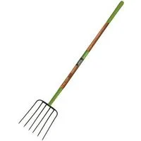 pettigrew-online4233726