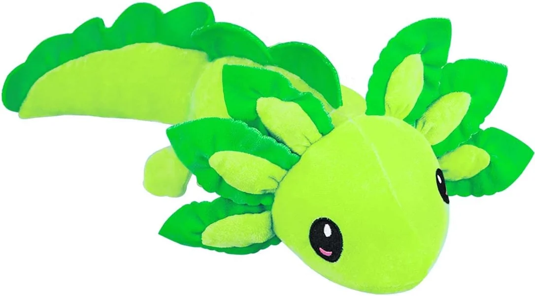 zeebooth-34607421