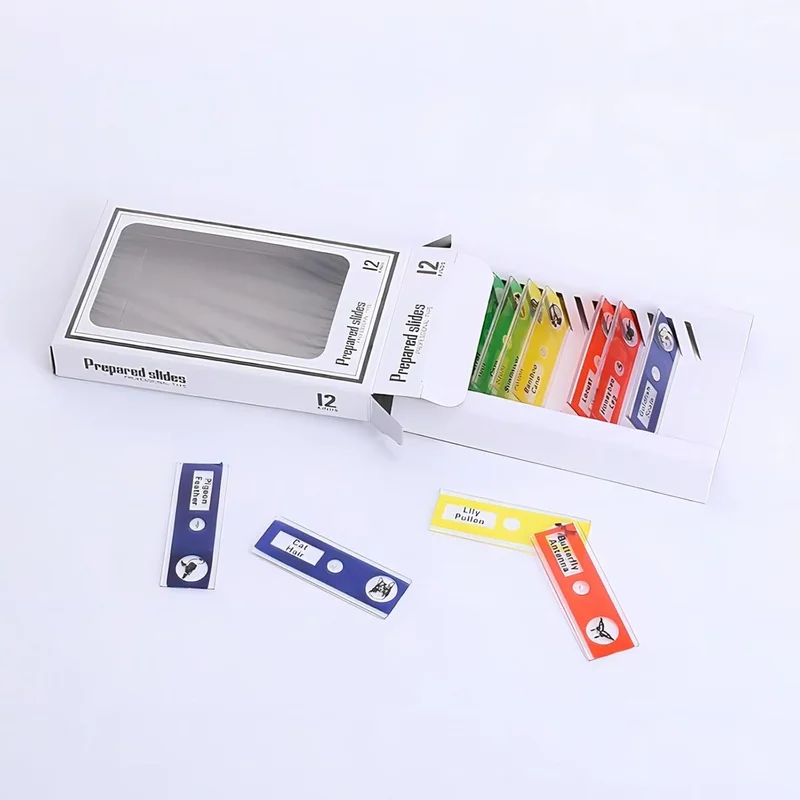 zeebooth-34688023