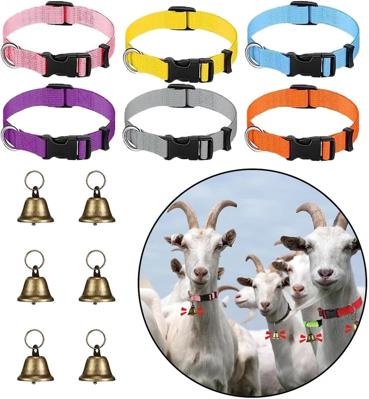 zeebooth-44449896