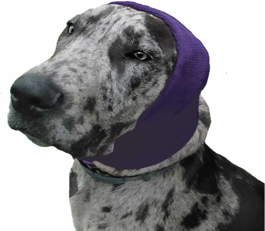 zeebooth-44562219
